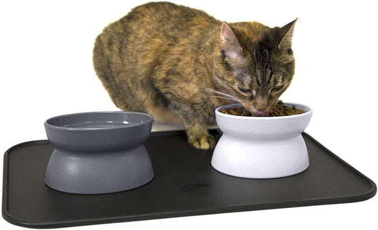 Stress-Free Raised Cat Food Bowl Set by Kitty City