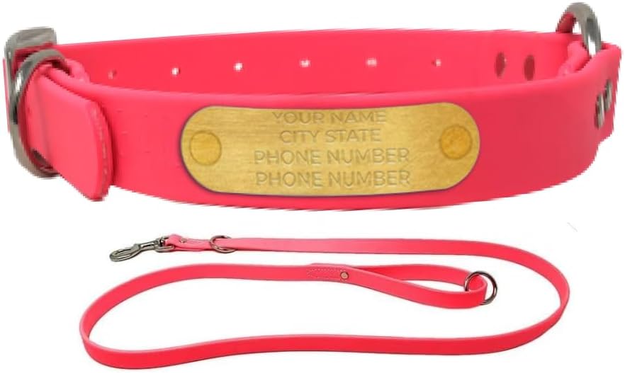 Custom Engraved Waterproof Dog Collar and Leash Set for Dogs