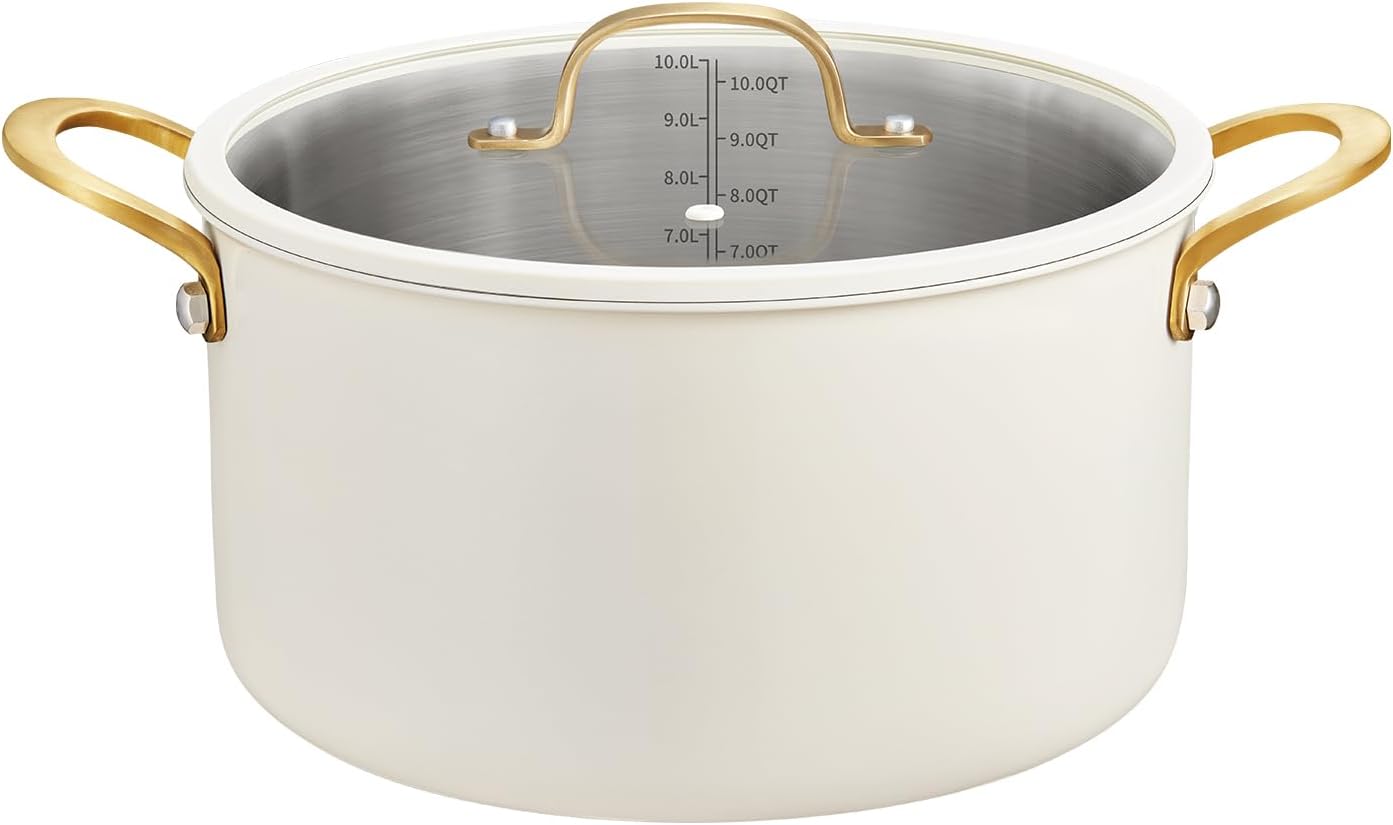 BEZIA 10 Quart Large Stainless Steel Stock Pot for Cooking
