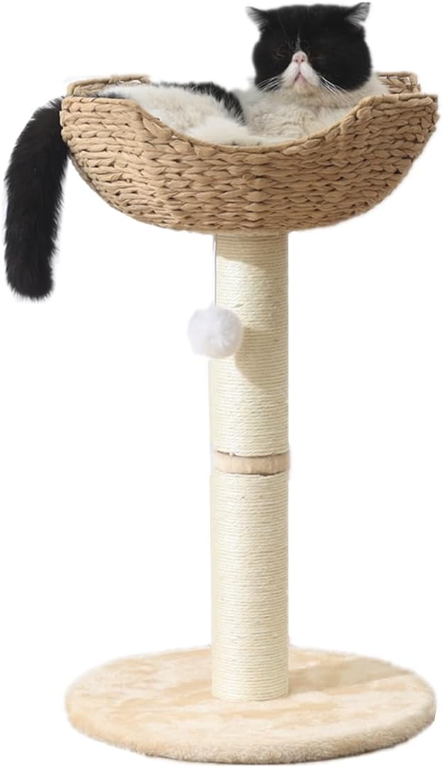 SHENGOCASE Small Cat Tree Tower with Rattan Wicker Basket