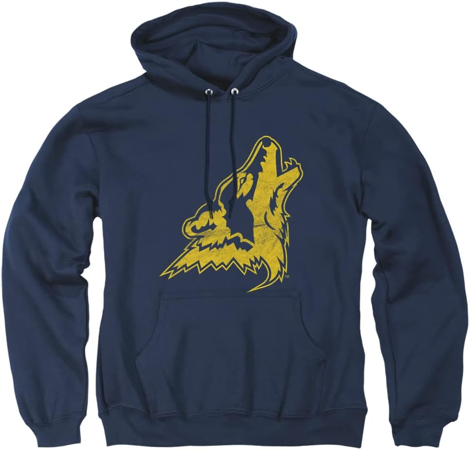 Official Collegiate Distressed Primary Logo Hoodie for Fans