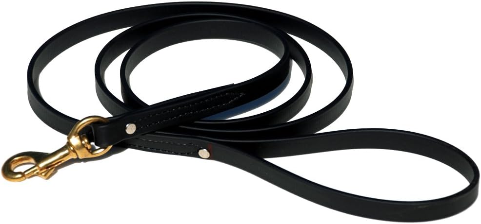 Ray Allen Mfg Signature K9 Biothane Leash for Training and Comfort