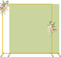 Metal Backdrop Stand with Sage Green Spandex Cover 6.6x6.6ft - Elegant