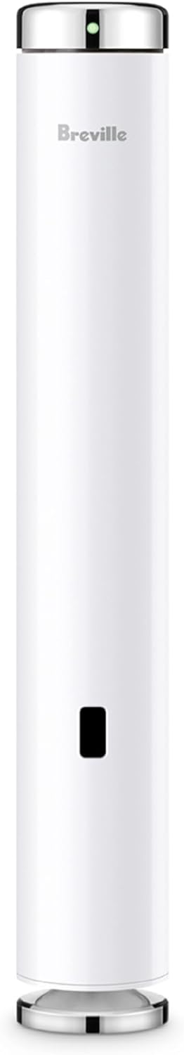 Breville Joule Turbo Sous Vide Machine for Effortless Cooking