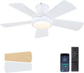 Ceiling Fans with Lights, Modern Low Profile Flush Mount - Quiet 40 in