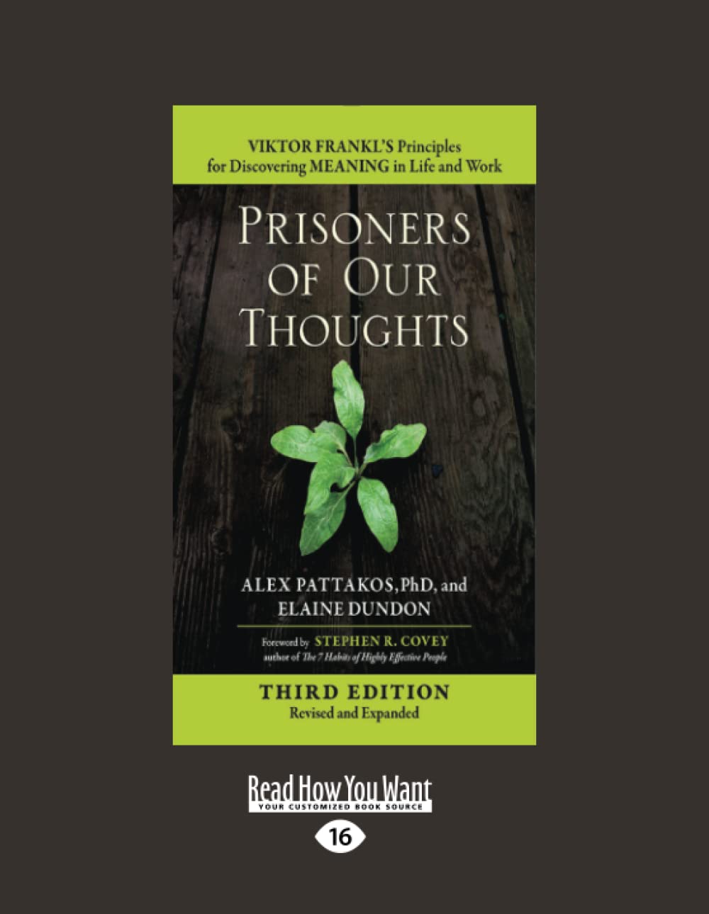 Prisoners of Our Thoughts: Discover Meaning in Life and Work