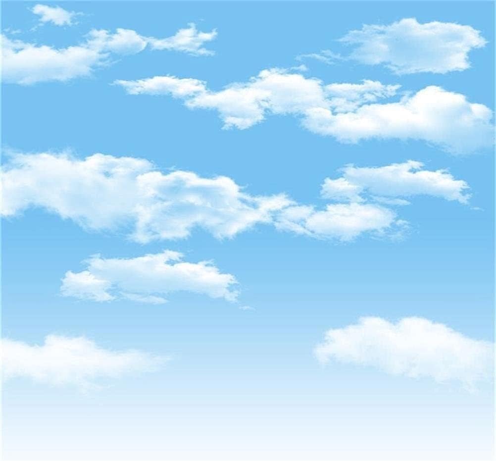 10x10ft Blue Sky Backdrops for Stunning Photography by AOFOTO