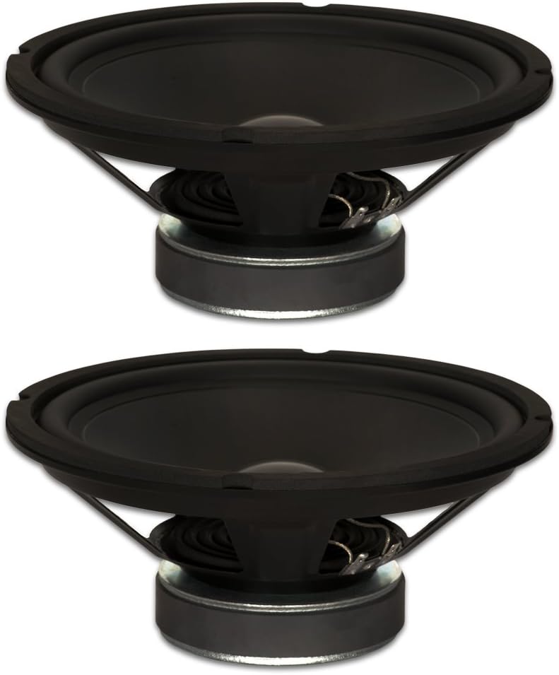 Powerful 10 Subwoofer Set, 250W Each, 8ohm - Goldwood GW-1038-2