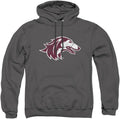 Official Adult Hoodie Collection Featuring Distressed Logo Design