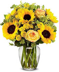 Brilliant Sunflower & Rose Bouquet with Glass Vase - Fresh Mixed