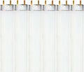 6500K Daylight 48in T8 Fluorescent Tube Light Bulb 6-Pack - 32W