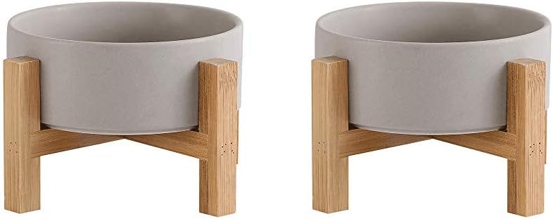 Anti-Vomiting Elevated Cat Bowls - Set of 2