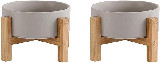 Anti-Vomiting Elevated Cat Bowls - Set of 2