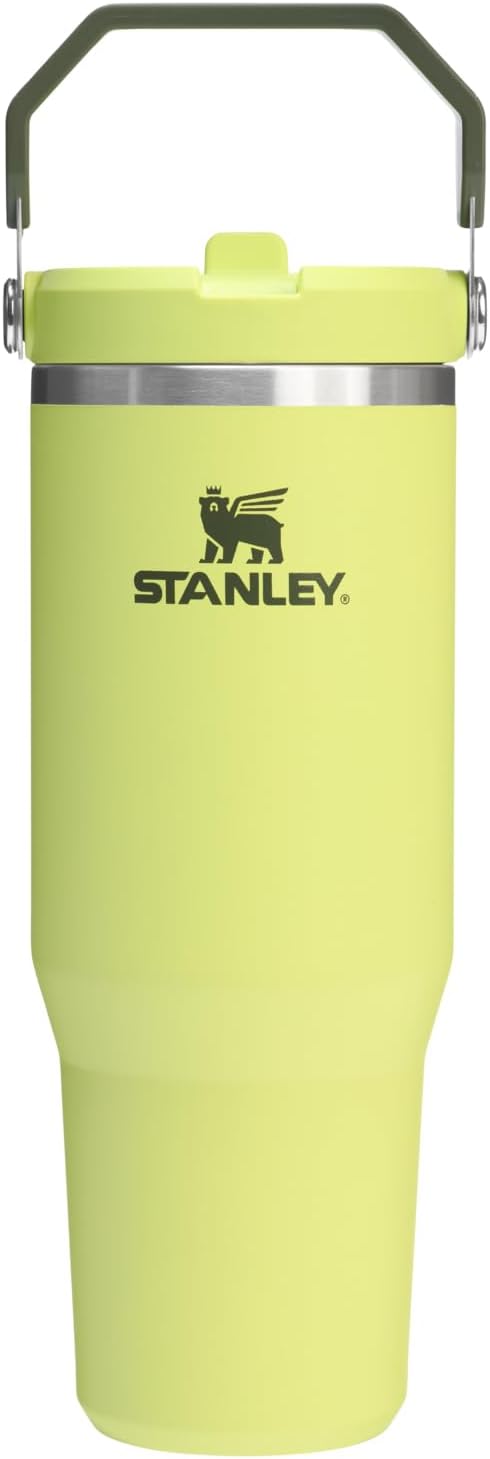 Stanley IceFlow 2.0 Flip Straw Tumbler 30 oz for Hydration