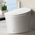 EPLO Smart Toilet Bidet Auto Open Close with Men's Urinal Flush
