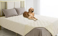 Ameritex Waterproof Dog Bed Cover with Anti-Slip Back - Protects