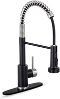 HGN Kitchen Faucet with Pull Down Sprayer Single Handle - Brushed