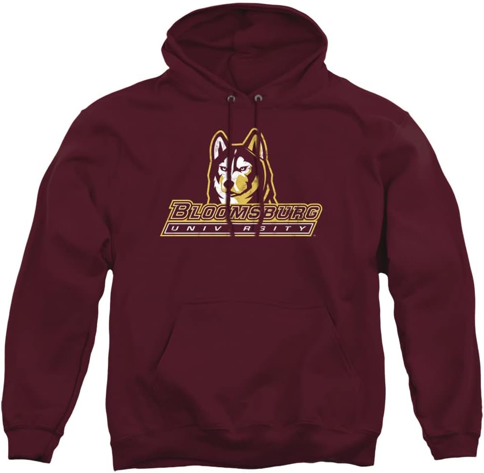 Official Collegiate Distressed Primary Logo Adult Pullover Hoodie