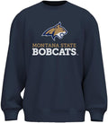 NCAA College Team Color Unisex Sweatshirt Logo icon - Official MSU