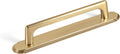 Goo-Ki Champagne Bronze Cabinet Pulls with Backplate 5ft (2 Pack)