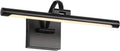 Black Picture Lights for Wall Dimmable Art Lights for Paintings - Warm