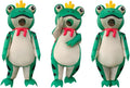 Inflatable Costume Cosplay Blow-up Suit for Adults - Festive Party Fun
