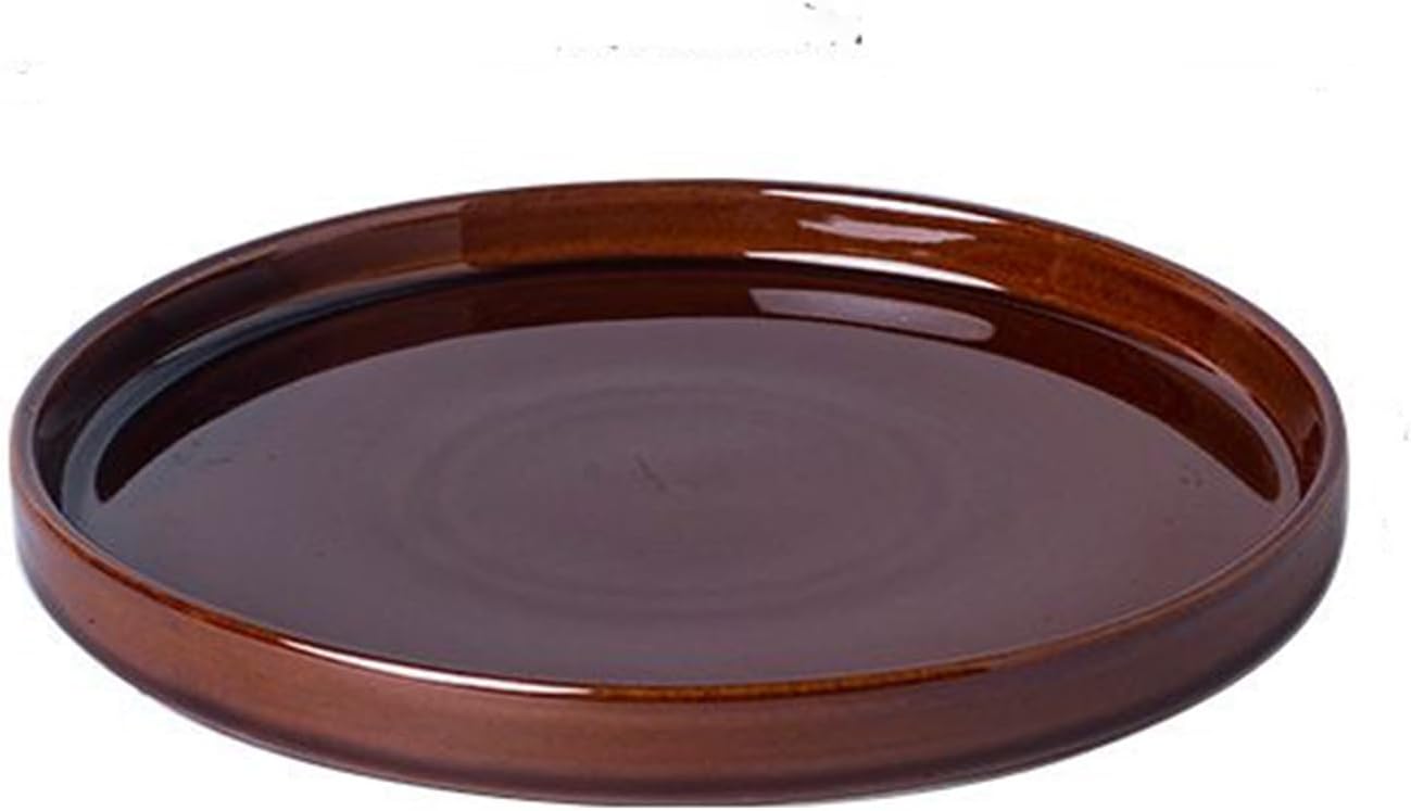 Ceramic Plant Saucer 12 Inch for Indoor and Outdoor Use