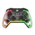 Rainbow Lite RGB Wired Controller for PC & Switch - Responsive