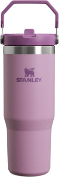 Stanley IceFlow Flip Straw Tumbler 30 oz - Keeps Drinks Cold Long