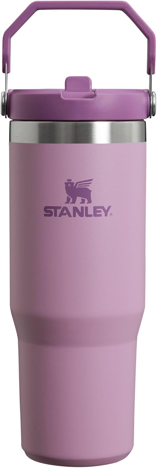 Stanley IceFlow Flip Straw Tumbler 30 oz - Insulated & Durable