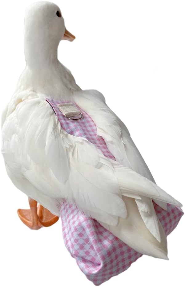 Waterproof Poultry Diapers by PARREN