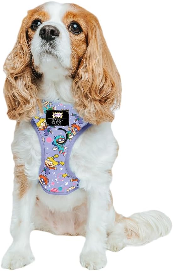 Dog Adjustable Harness for Small Dogs - Breathable Mesh Design