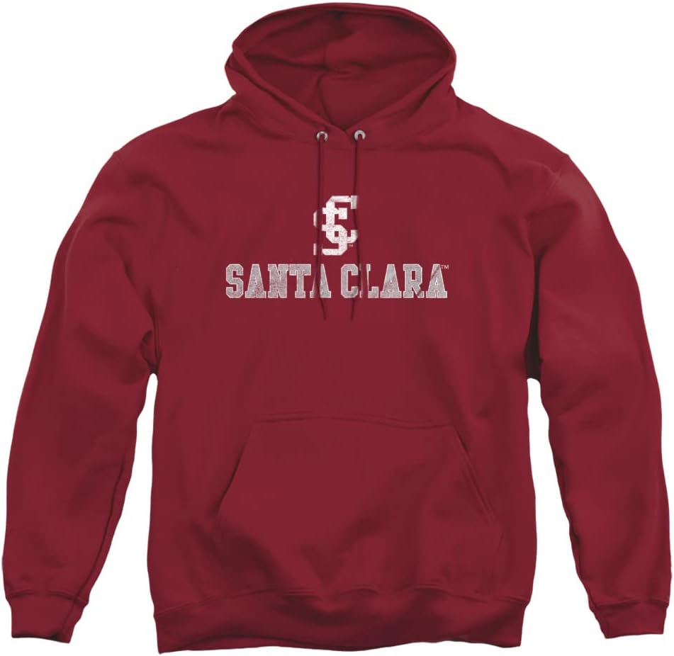 Official Collegiate Distressed Logo Adult Pullover Hoodie