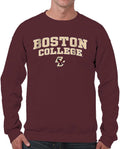 Campus Colors Arch & Logo Gameday Crewneck Sweatshirt - Comfortable