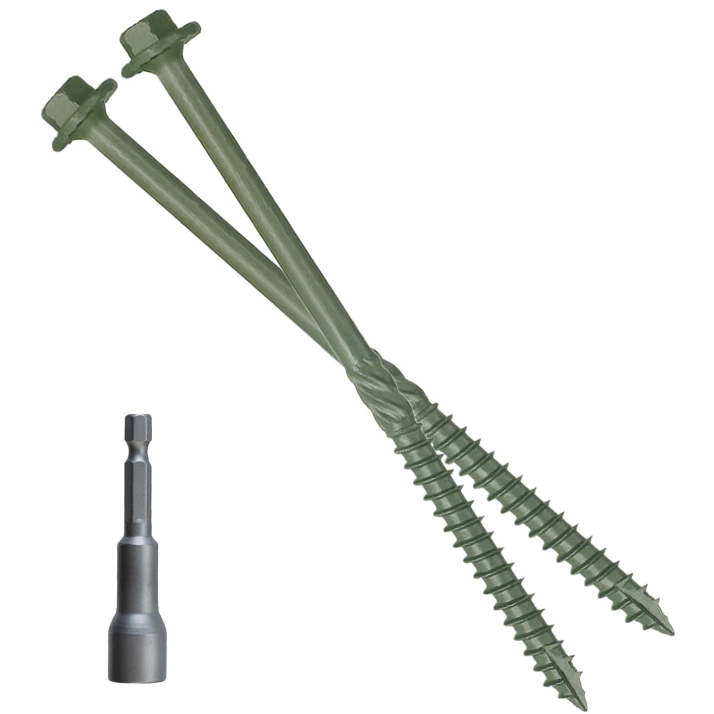 Pack of 50 Heavy Duty Hex Head Timber Screws for All Projects