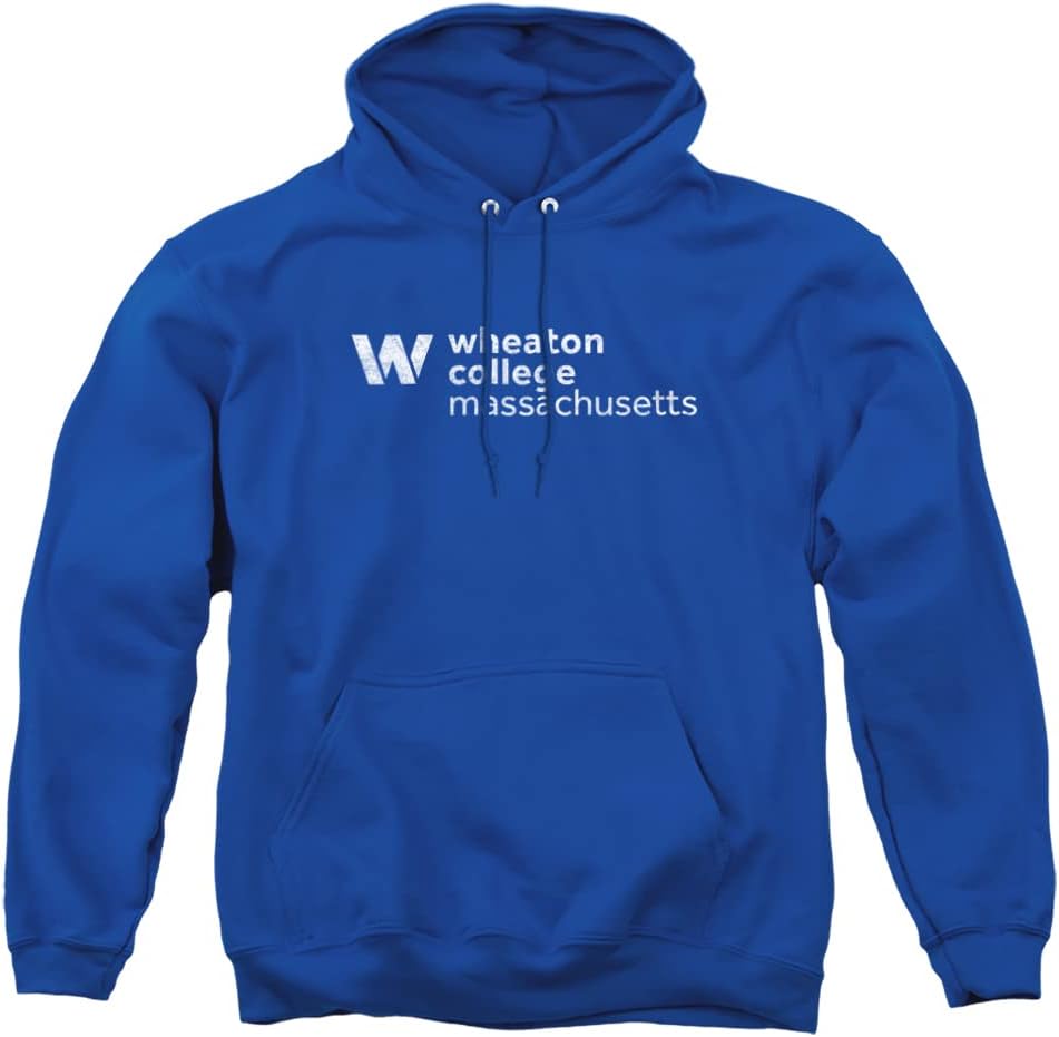 Official Collegiate Distressed Logo Hoodie for Everyday Wear