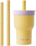 20oz Insulated Stainless Steel Water Bottle - Yellow & Purple Dual