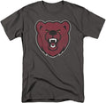 Official Collegiate Distressed Logo Unisex T Shirt Collection