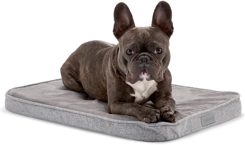Diggs Snooz Memory Foam Dog Bed - Premium Orthopedic Pet Bed