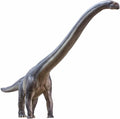 PNSO The Mamenchisaurus 1:45 Scientific Art Model - Detailed Museum