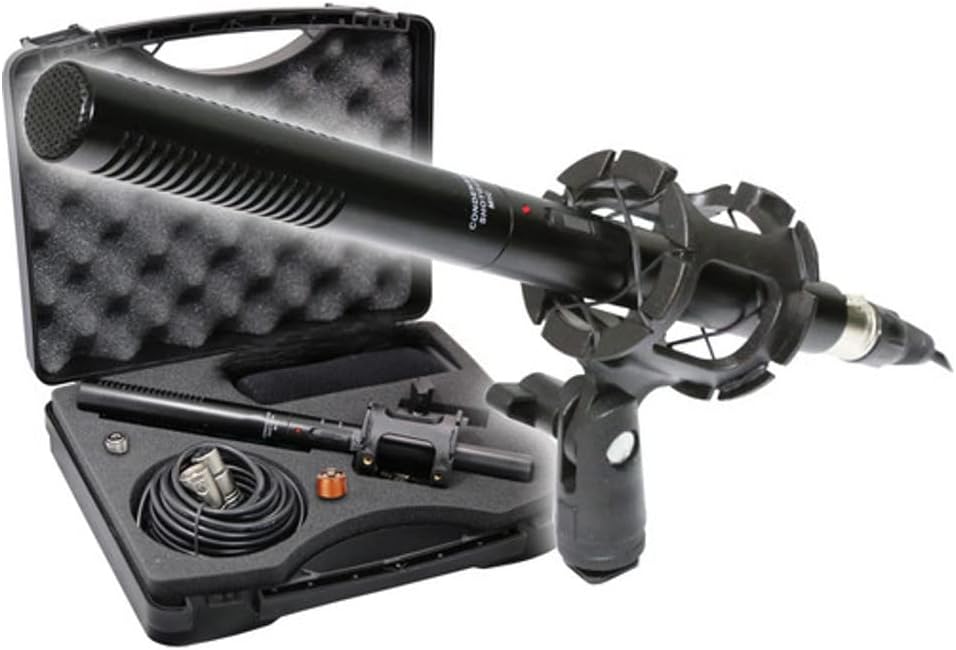 Canon XA30 Camcorder with Vidpro XM-55 Microphone Kit Review