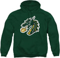 LOGOVISION Collegiate Distressed Primary Logo Pullover (Style BNRH)