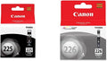 Canon Printer Ink Bundle with PGI-225 Black and CLI-226 Gray