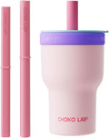 Insulated Stainless Steel Water Bottle 20oz - Pink & Purple Dual Liner