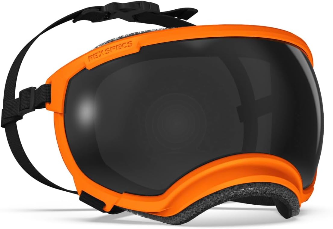 Rex Specs V2 Dog Goggles for Ultimate Eye Protection and Style