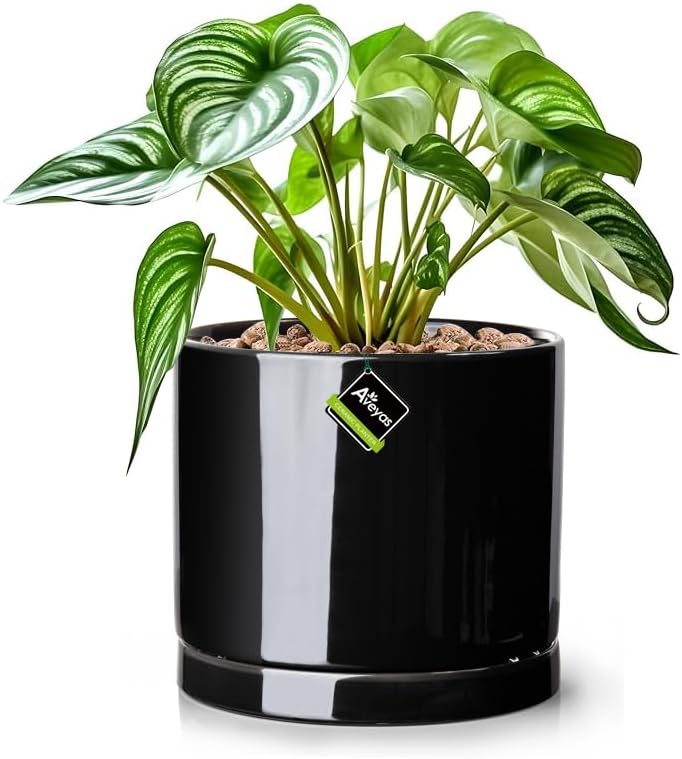 Aveyas 8 inch Ceramic Plant Pot with Drainage Hole and Saucer