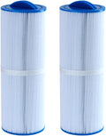 Malaka Spa Replacement Filter FD2007 Compatible PWW50L - 2-Pack