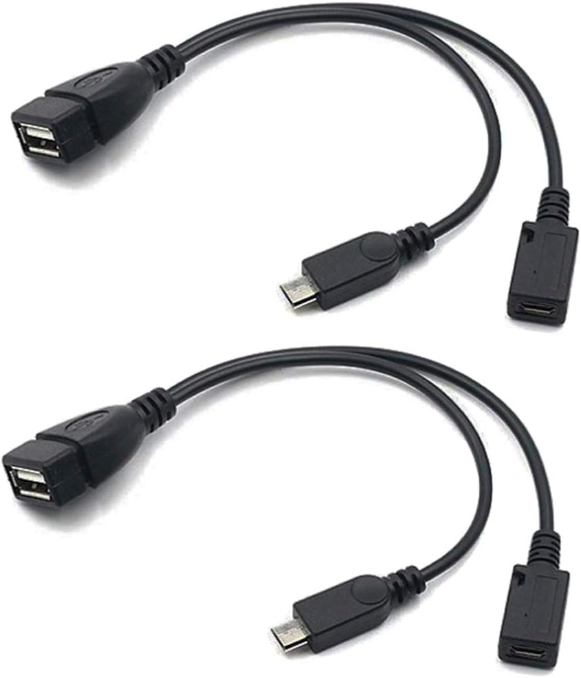 AuviPal 2-in-1 Adapter Duo for Effortless Connectivity