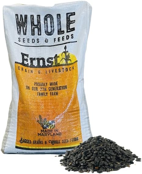 Wholesome Harvest Black Oil Sunflower Seeds for Wild Birds