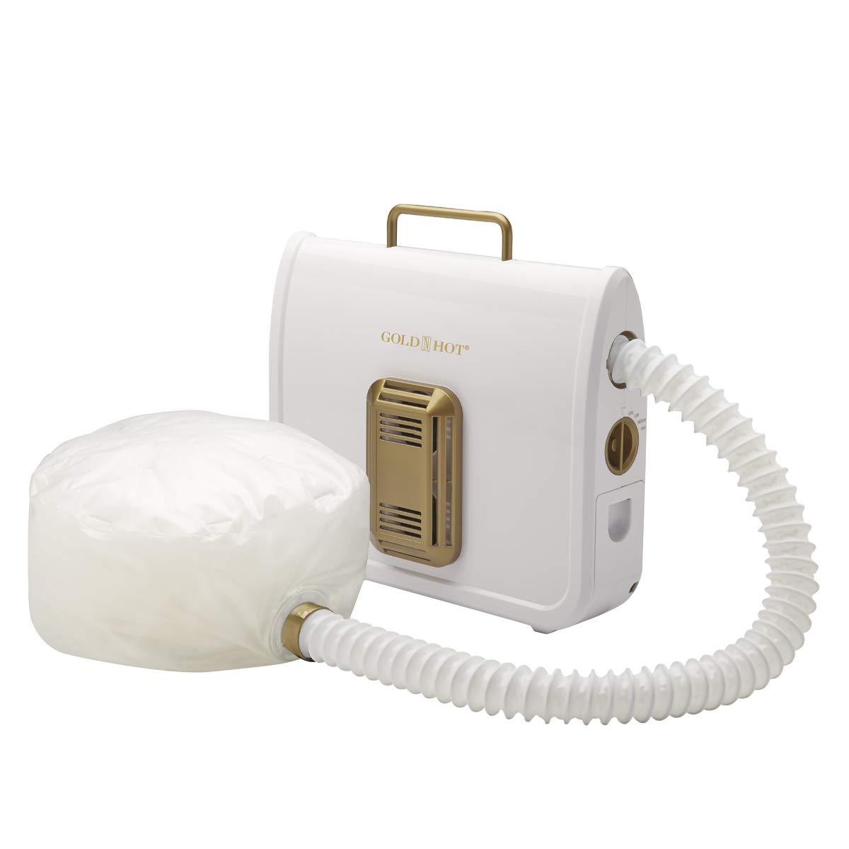 Frizz-Free Hair with Gold N Hot Ionic Dryer